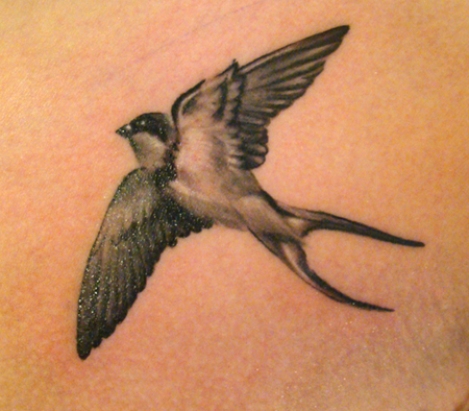 This-artistic-black-and-white-swallow-tattoo-is-posed-as-though-viewed-from-below